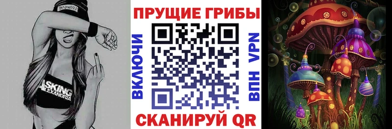 Псилоцибиновые грибы GOLDEN TEACHER Новокубанск