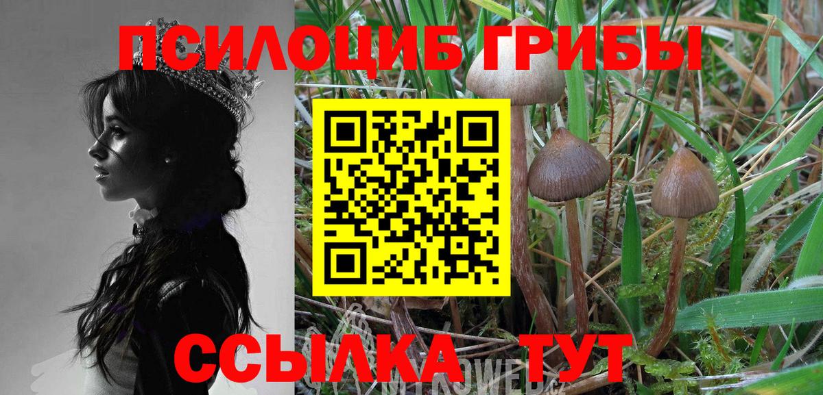 Галлюциногенные грибы ЛСД Новокубанск